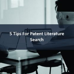 Patent Literature Search