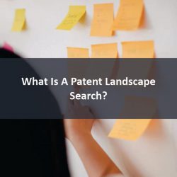 Patent Landscape Search