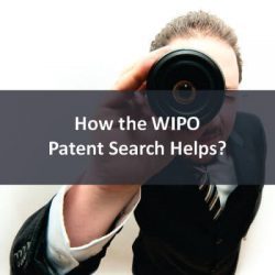 How the WIPO Patent Search Helps