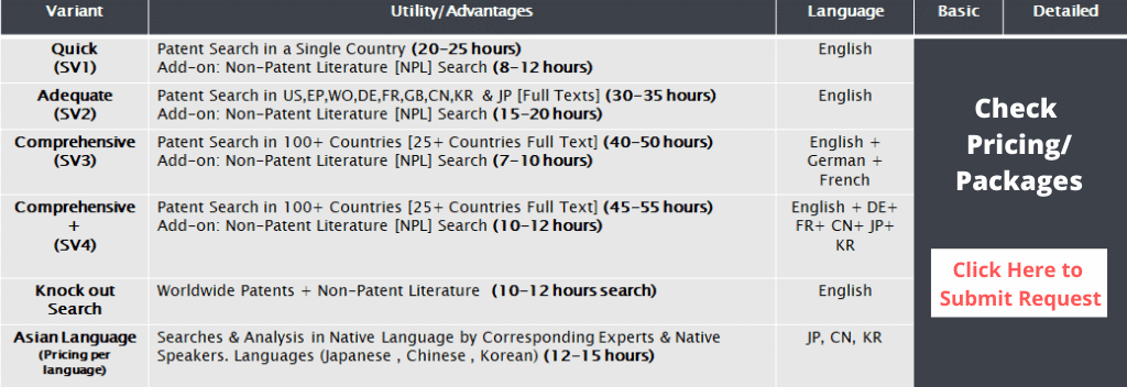 Patent Invalidity Search Check Pricing_ Packages 