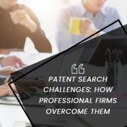 Patent Search Challenge